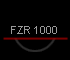 FZR 1000